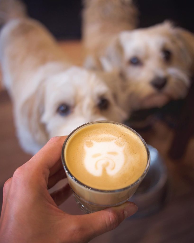 OneMore Coffeeshop